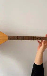 ساز دیوان (دسته بلند)