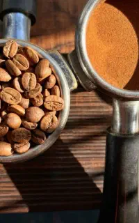 روستری و پخش  قهوه