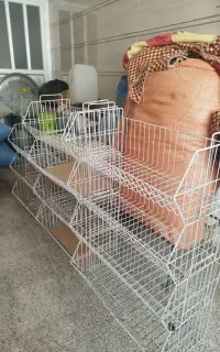استند چیپس و پفک