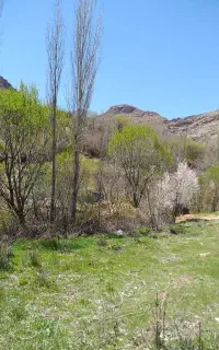 باغ تفریحی دلخان مرادی شبانه روزی