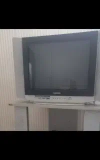 تلویزیون