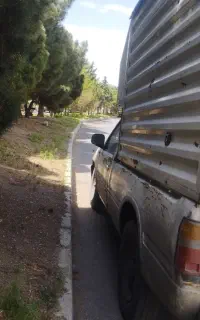 نیسان شوکا