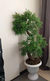 درختچه مصنوعی