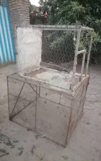 قفس