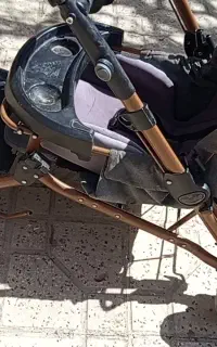 فروش دو عدد کالسکه دلیجان،