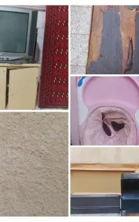 فروش