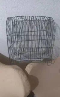 قفس  سهره