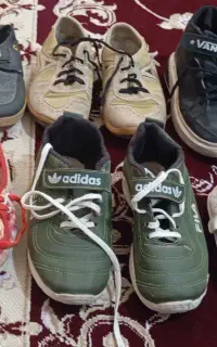 کفش اسپورت