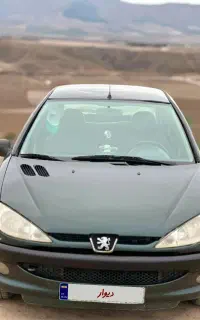 206مدل 80