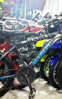 دوچرخه ۲۰ دنده ای