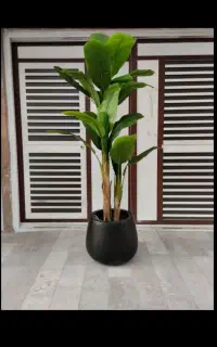 مستقیم از کارگاه