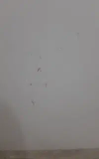 مدارک گم شده