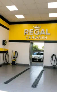 نیرو کارواش