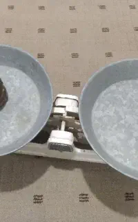 ترازو درحد نو