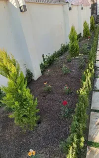 خدمات باغبانی باغچه کاری کاشت گل وگیا درسراسر کرج