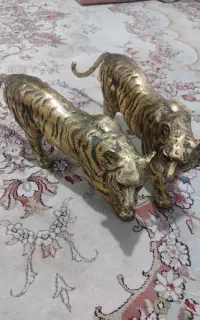 فروش ۲ عدد ببر به وزن ده کیلو