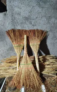 جاروی قرمز وپر بار