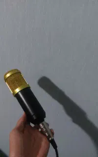 فروش ۲ میکروفون سالم