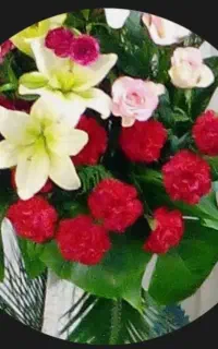 قالیشویی ارگ جدیدشهرآفتاب دبستانی