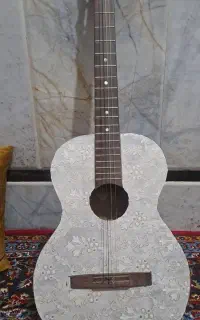 گیتار معاوضه با پرنده یا هرچیز دیگه