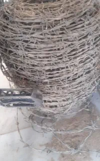 سیم خار دار