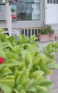 اجاره ای نیم طبقه مسکونی یا تجاری