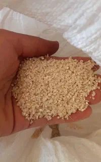 برنج ریزه ی هاشمی