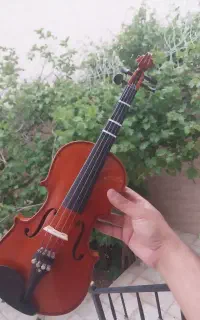 ویولون tf سایز یک چهارم