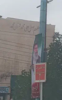 نظافت خدماتی گلها