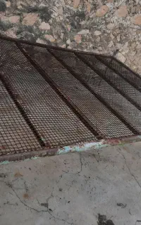 تخت حیاط