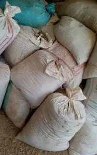 کود گوسفند
