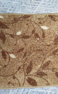 پادری پالاز نو نو