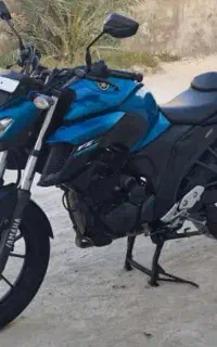 fz250