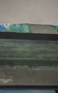آکواریوم