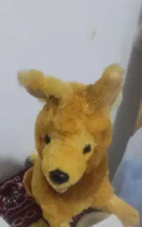 بازی