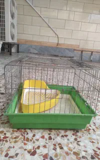 قفس همستر خرگوش