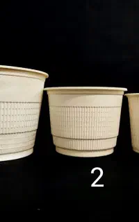 سطل یکبار مصرف گیاهی آملون