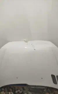 کاپوت ۲۰۶