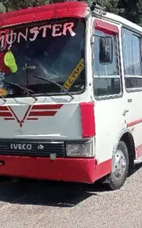 اویکو a60