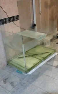 آکواریوم با تمام وسایلش