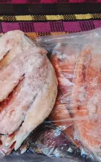 ماهی قزل الا پاک کده