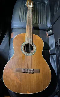 گیتار پارسی P40