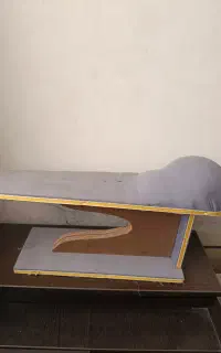 ژانت خیاطی