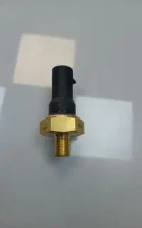 فشنگی روغن موتورسیکلت بنلی ۳۰۰