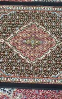 پادری نو