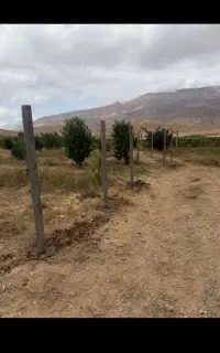 به چندتا کارگر نیازمندم برای پی کنی زمین ام