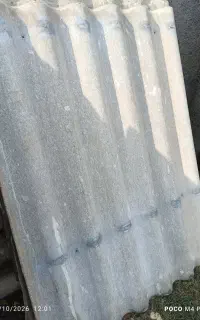 ایرانیت
