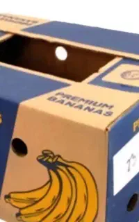 کارتن موز نو