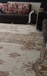 مبل ۷نفره