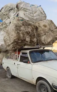 ضایعات کارتون